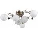Brille  LK-169S/-YL51