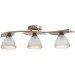 Brille  LK-185S/E2FG-L5-207