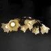 Brille  LK-194S/E1-L5-284