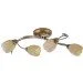 Brille  LK-201S/E1 (L5-361)
