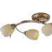 Brille  LK-201S/E1 (L5-361)
