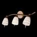  -    LK-202S/3 E14 Brille L5-365