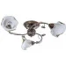 Brille  LK-205S/E1-L5-382
