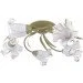 Brille  LK-206S/E1-L5-386
