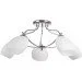 Brille  LK-216S/E1C-L53-012