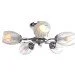 Brille Люстра LK-222S/E1C-L53-028 Brille Люстра LK-222S/E1C-L53-028