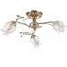 Brille  LK-228S/E1F (L53-041)