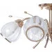Brille  LK-241S/E1F-L53-076