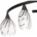 Brille  LK-247S/E1CH+ (L66-055)