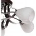 Brille  LK-274C/E1-L117-006