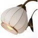 Brille  40W LK-280W/1 E14 (L117-021)
