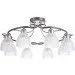 Brille  LK-288S/E1-L118-013