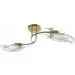 Brille  LK-341S/E1-L67-025