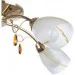 Brille  LK-443S/E1-L67-186