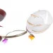    3  LK-451S/3 E14 G Brille L67-201