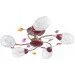 Brille  LK-451S/E1-L67-202