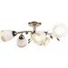 Brille  LK-454S/E2-L67-208