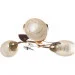 Brille  LK-462S/E2 (L67-221)