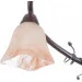 Brille  LK-504S/E1D (L67-270)