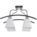 Brille  LK-536C/E1-26-115