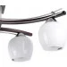 Brille  LK-543S/E2-22-304
