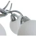 Brille  LK-650S/E2C-23-743