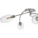 Brille  LK-659S/GC-23-766