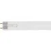   Brille  PL-Q T8 36W UVC (45-002)
