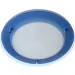 Brille   W005/4C (171084)