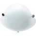 Brille   W023-20 (171007)