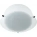 Brille   W024-40 (171008)
