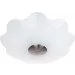  -  W-100/5 Brille 171110