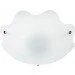  -  W-101/5 Brille 171111