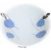 Brille   W-423/1 (171232)