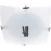 Brille   W-442/1 (171250)