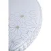 Brille   W-631/20W NW (26-558)