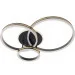 Brille  WBL-54C/66BK/G (27-575)