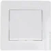 Brille     ZB-1V WH (L15-020)
