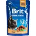   Brit      100 
