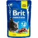   Brit      100 
