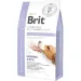   Brit            12 