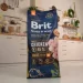   Brit          , 15 ,