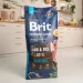   Brit       ,  , 15 ,