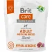   Brit         1 