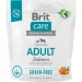   Brit     /     1 