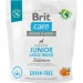   Brit         25    1 