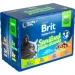   Brit       4  12x100 
