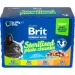   Brit       4  12x100 