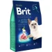   Brit      8 