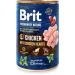  Brit Premium       , /, 800 